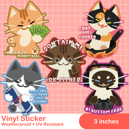 Meme Cat Stickers!